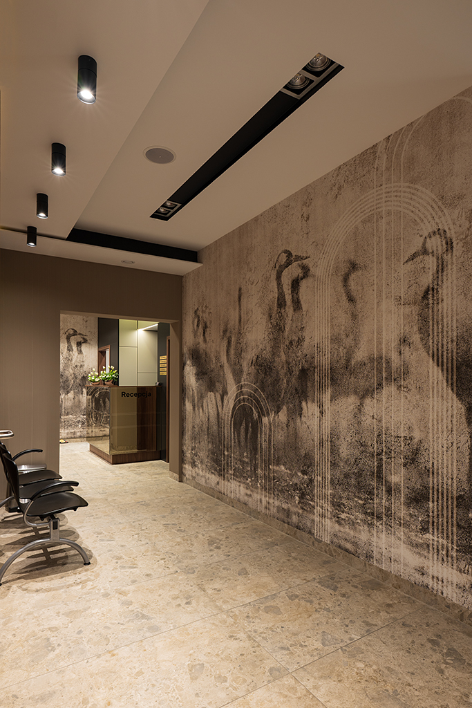 Dent.all - Zdjęcie 3