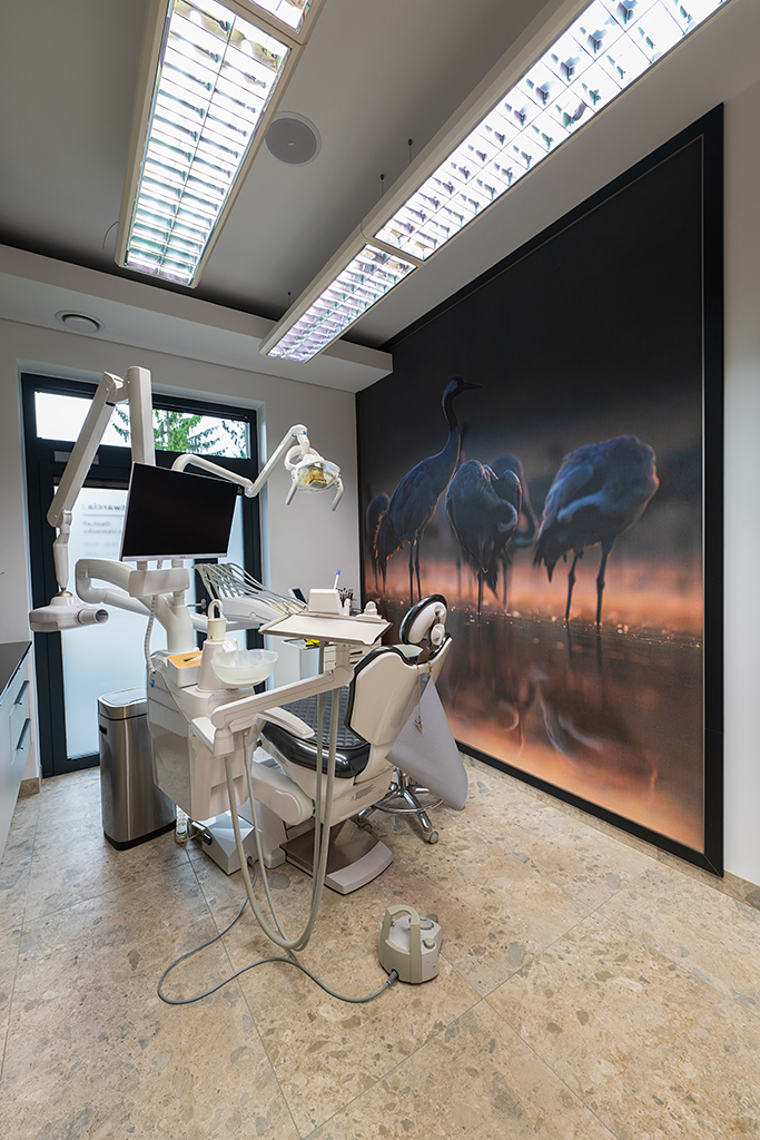 Dent.all - Zdjęcie 7